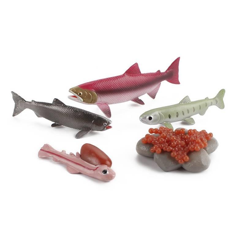 Childrens Educational Animal And Insect Growth Cycle Pvc Earthworm Octopus Model Set For Kids Learning And Activities