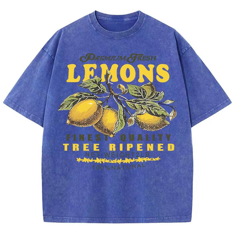 Premium Fresh Lemons Fruit Print Women Washed T-Shirts Y2K Comfortable Short Sleeve Loose All-Match T Shirt Cotton Hip Hop Top