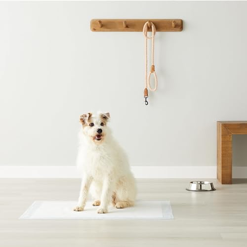 Amazon Basics Dog Toilet Training Pads, Thick Extra Large, 25-Pack, 71x86cm, Blue, White