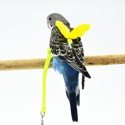 Pet Parrot Bird Harness And Leash Flying Outdoor Training Traction Rope Straps For Budgerigar Cockatiel Small Birds