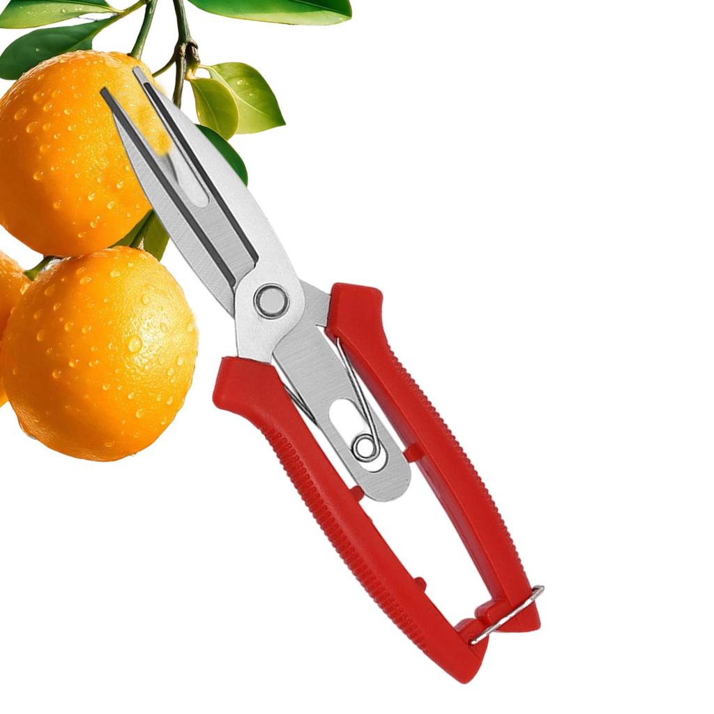 1 Pcs Stainless steel fruit picking scissor With labor-saving Handle Pruning thinning of fruit trees in landscaping horticulture