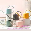 Leide Zhuzhu Wrought Iron Long Spout Watering Can for Flowers and Succulents