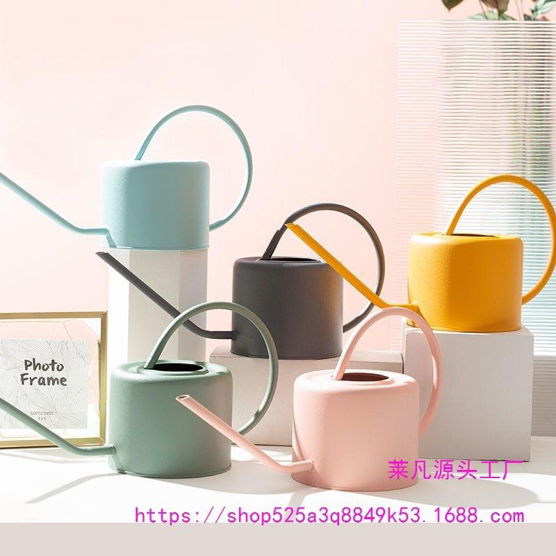 Leide Zhuzhu Wrought Iron Long Spout Watering Can for Flowers and Succulents