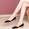 Women's Soft-soled Silk Single Shoes Spring New Shallow Mouth One-pedal Women's Shoes 2025 New Rhinestone Pointed Mother Shoes
