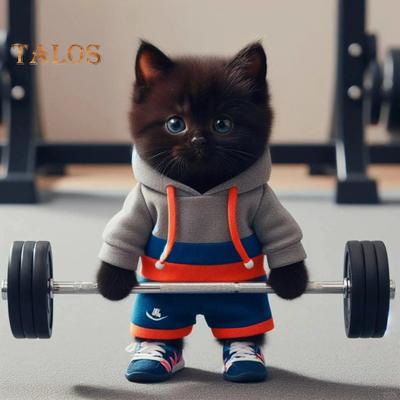 Sunkiosios atletikos katės figūrėlė, kūno rengyba Animacinis filmas Kačiukas Dervos statula Skulptūra patalpose Namų biuro knygų lentyna Darbalaukio puošmena Ornamentas Gimtadienio dovana