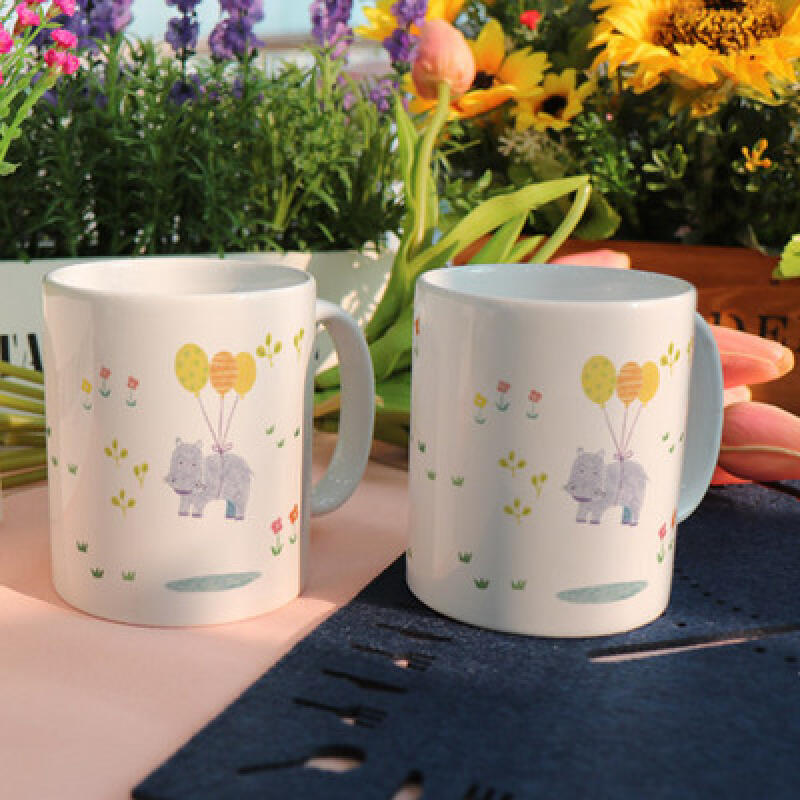 ic692-Design Mug 2p-Fly Hippopotamus