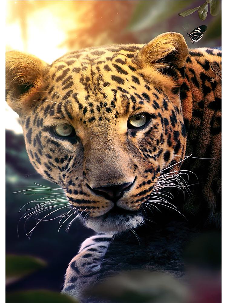 Moderna leoparder Nordisk affisch och tryck Canvasmålning Vilda djur Väggkonst Dekorativ bild för vardagsrum Heminredning