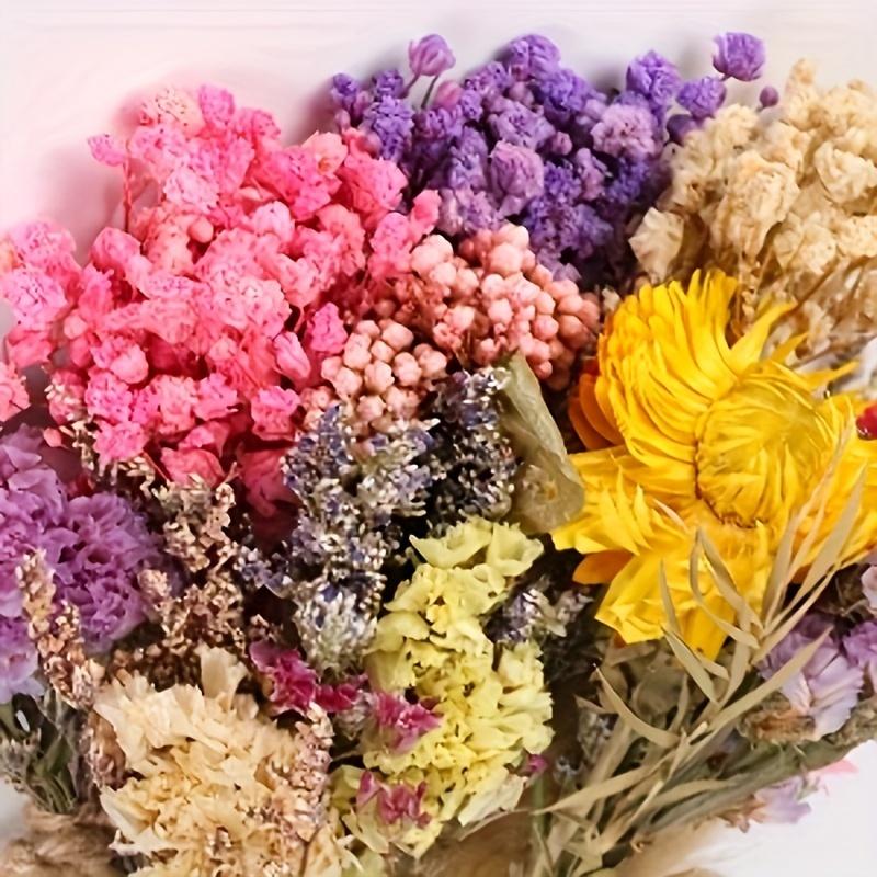 10Pack Dried Flowers with Stem for Vase Wildflower Decor Crafts Bouquets Artificial Floral Arrangement for Vase DIY Wedding Decor
