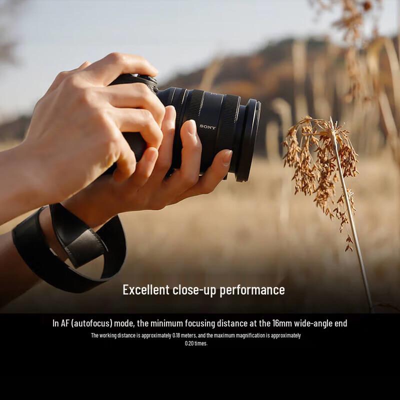 Sony FE Full-Frame Lenses