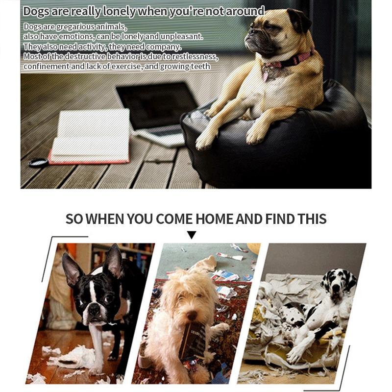 Dog Toys Puppy Cotton Chew Rope Knot Toy Durable Braided Dog Cleaning Teeth Bone Rope Dog Training Supplies Juguetes Para