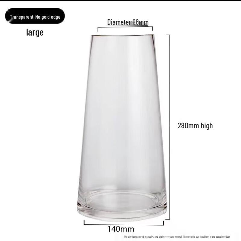 Minimalist Transparent Glass Vase