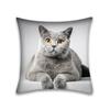 Cute Cat Pillowcase Anime Cartoon Cushion Cover Sofa Home Decor Home Office Pillowcase 45x45cm