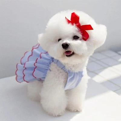 Sommer Dünnes Haustier Prinzessin Hunde Kleid Bichon Frise Katzenkleid Katzenkleidung Hund