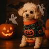 Turtleneck Design Halloween Dog Sweater Warm Pumpkin Costume Pumpkin Pet Sweater Soft Comfortable Dog Knitwear Pet Clothing