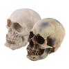 2pcs Resin Tabletop Skeleton Model Dispaly Props