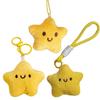 Friendship Plush Star Keychain Cartoon Star Pendant with Lanyard  Graduation Gifts