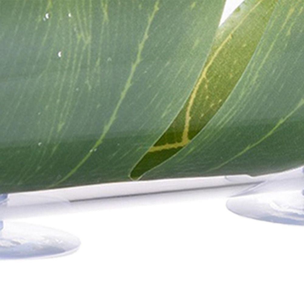 Round Tube Betta Tunnel Tank Decoration Hole Hollow Betta Fish Cave  for Cichlids Hide