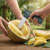 Geräte für Obst- & Gemüsezubereitung – Schäler & Zesteure