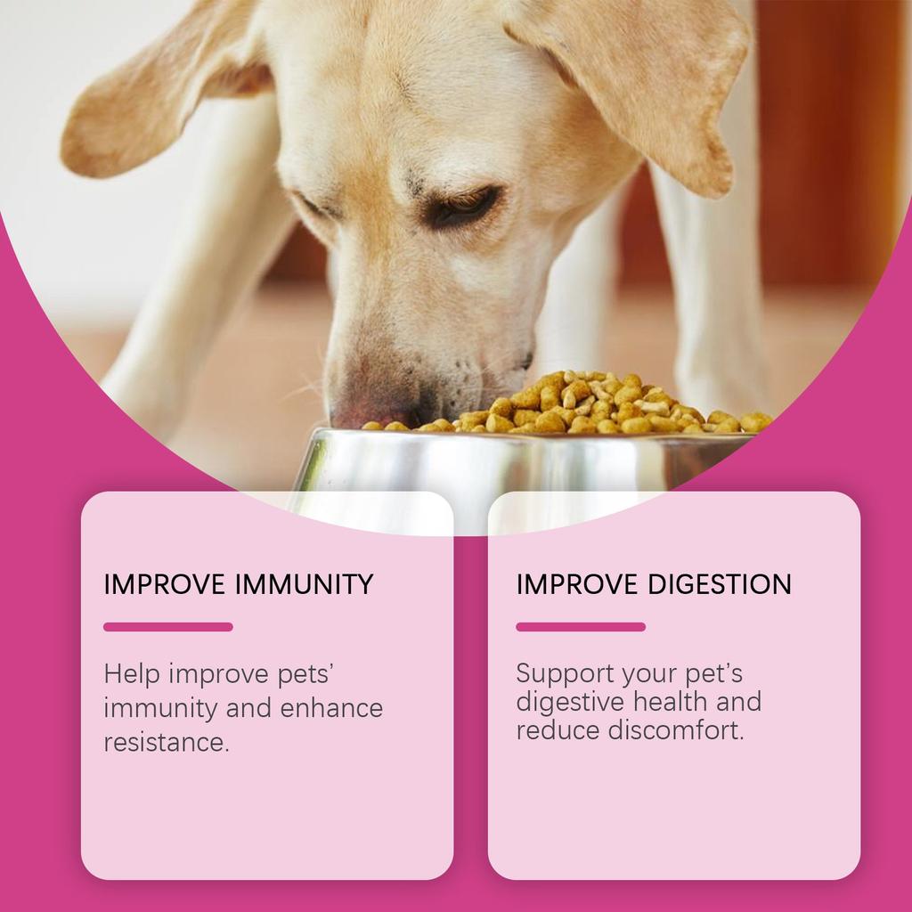 Dog Probiotic Tablets Improve Intestinal Health And Promote Digestion And Absorption Of Pet Nutritional Supplements