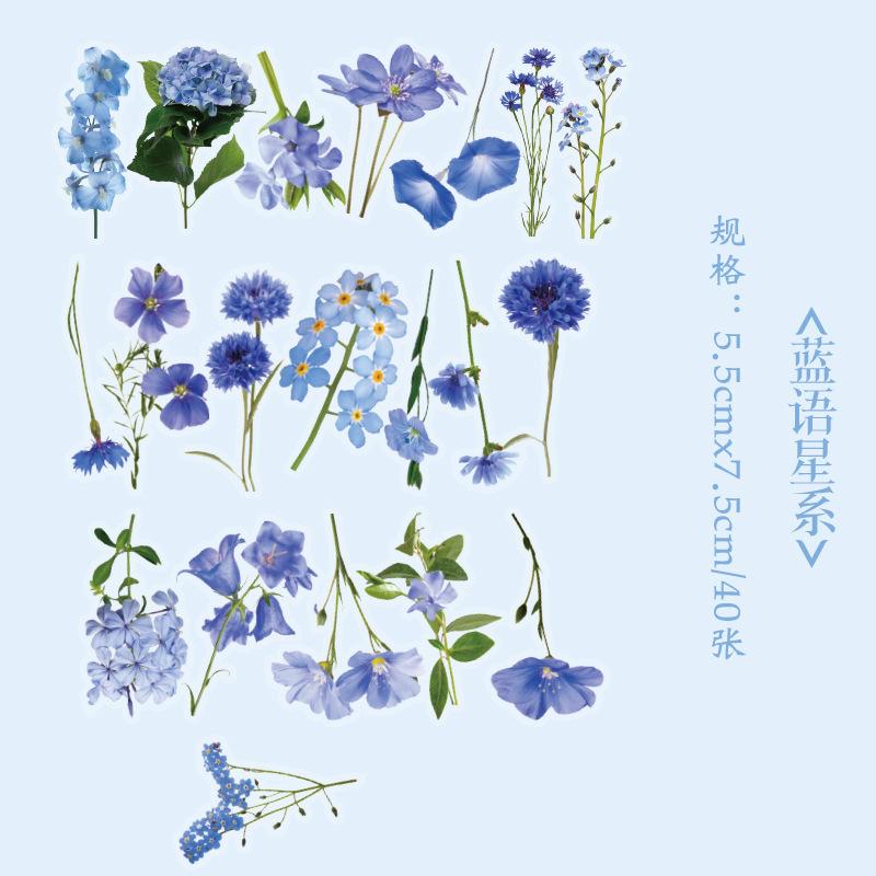 Office School Supplies PET Sticker Pack Flower Romance Series Creativ and Plant Handbook DIY Material Stickers 40 Sheets Kawai