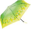 Because Lipton Women's Clear Folding Umbrella, Fruit In Tea Mini, Green, B-055262