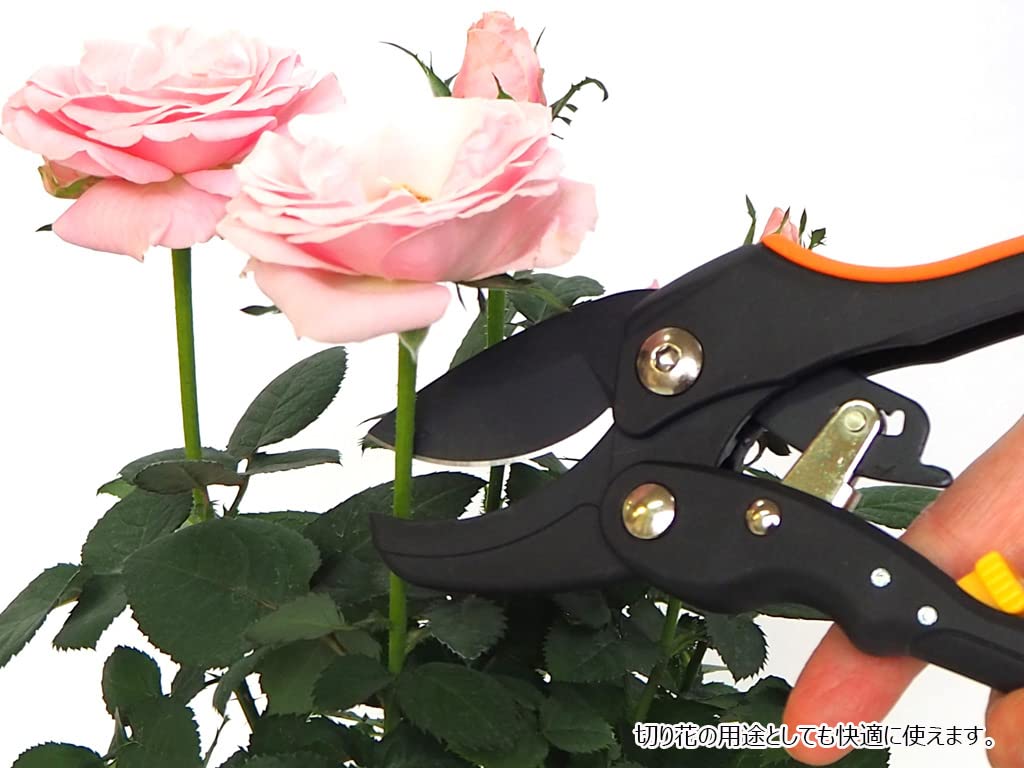 Justem Lightweight pruning shears for cutting everything from flowers to tree Ratchet easy to use with minimal Ideal for women and the Ratchet Pruning