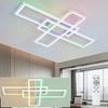 Plafonnier LED - NETTLIFE - 100 cm - Dimmable - Télécommande - Multicolore