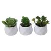 Artificial Succulents Decorative Flower Pot Easy Maintenance