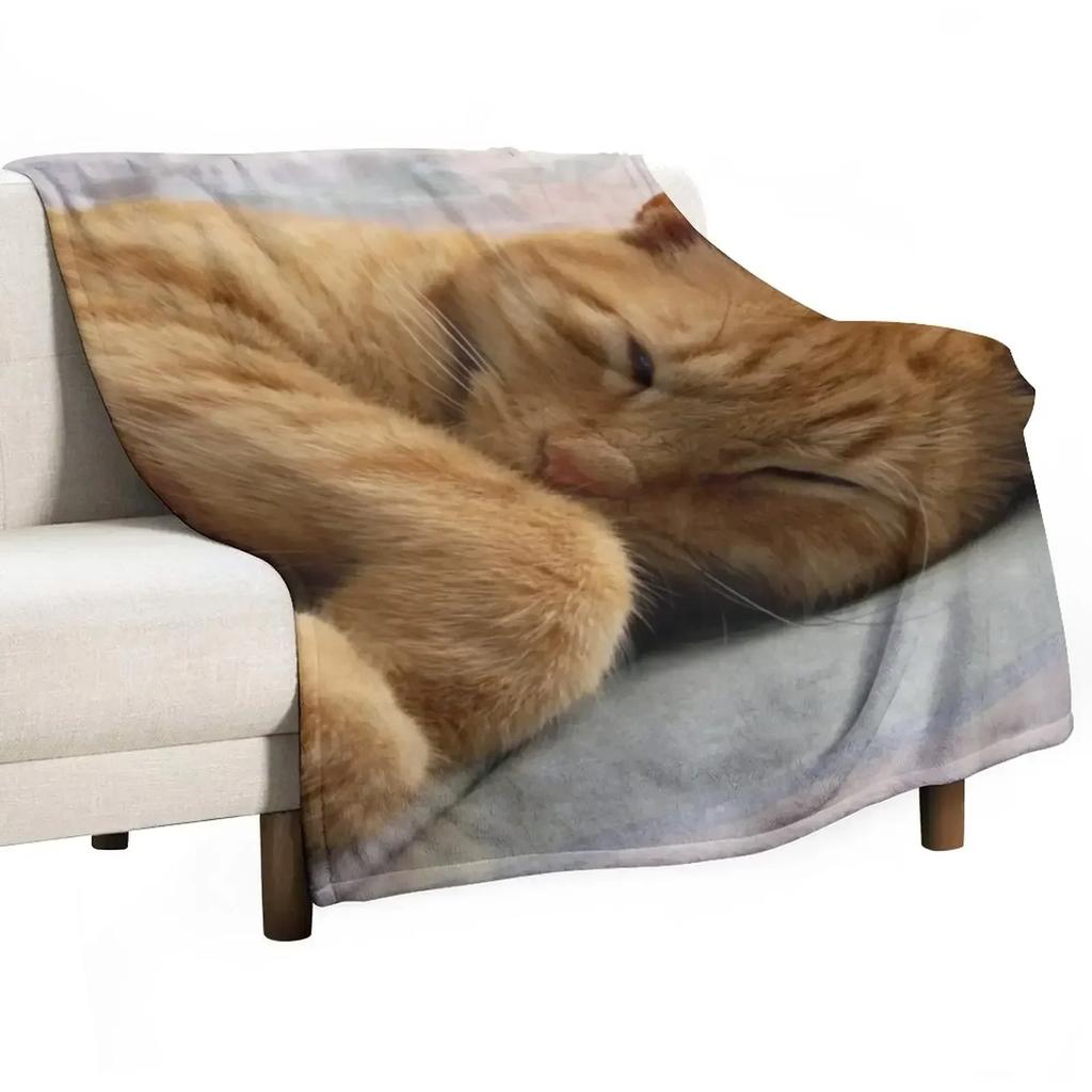 Ginger Cat Sleeping Throw Blanket Single Cute funny gift Thermal warm winter Warm Blankets