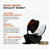 DR. MOREPEN Shilajit Resin | 100% Pure Himalayan Extract | Natural & Safe | 15gm