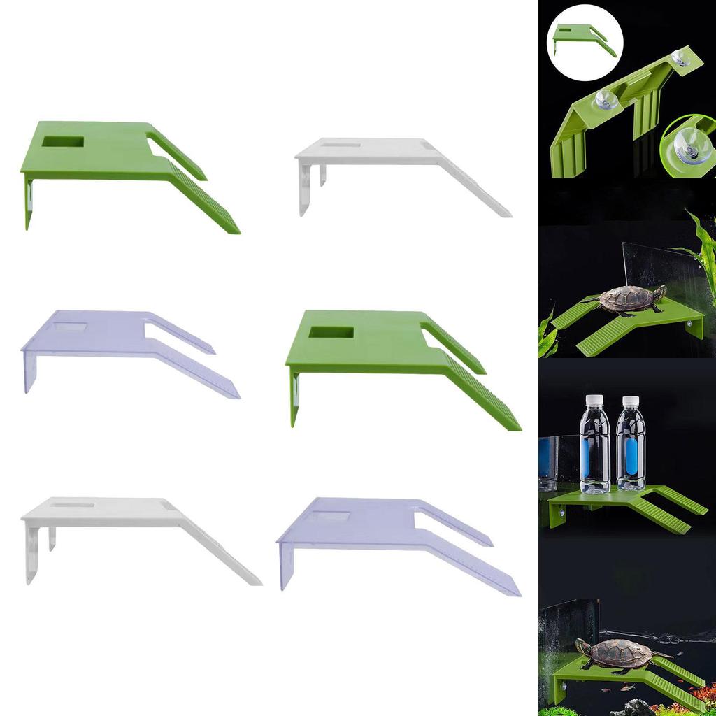 for Turtle Habitat And Reptile Tank