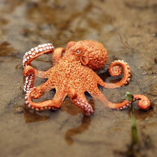 Simulation Octopus Marine Animals PVC Model Table Ornament Kids Learning Toy
