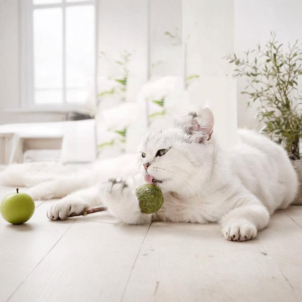 Kedi Nanesi Topu Lolipop Matatabi Çiğneme Çubuğu Kedi Oyuncağı