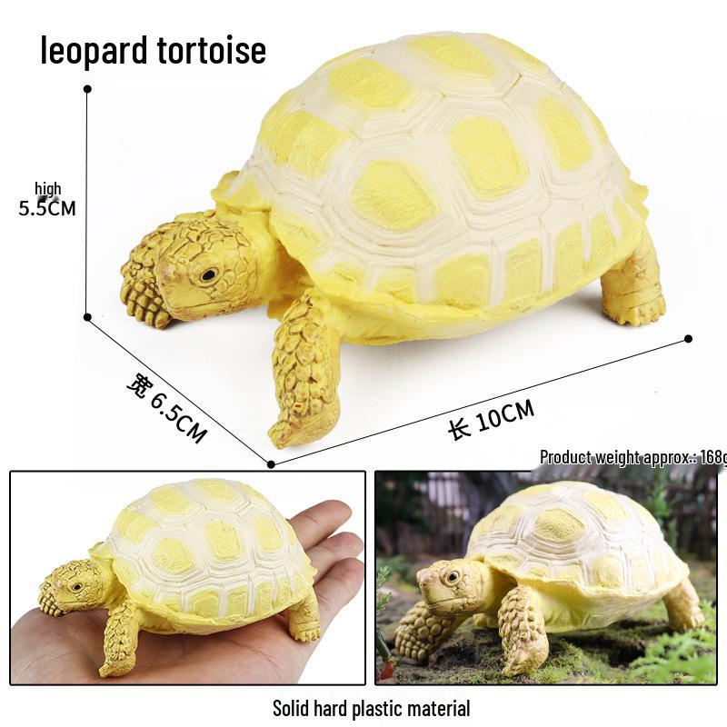 Wild Animal Model: Children's Simulation Turtle Gift Set - Tortoise Variants & Spiderweb Design.