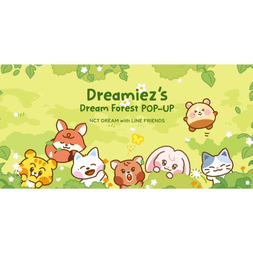 NCT DREAM With LINE FRIENDS BIG FLAT CUSHION