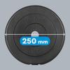 Bituminous Load Set 4X5Kg 20Kg Hole 31Mm Classic Plate Rebel
