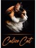 Cats Breeds Balinese Chausie Cheetoh Cat Portrait Poster Canvas Painting Abstract Animal Pet Wall Picture Living Room Home Decor