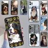 Bernese Mountain Dog Case For Samsung Galaxy M12 M52 M06 M16 M36 M56 M33 M15 M55 M31 M13 M14 M53 M32 M35 M34 M54