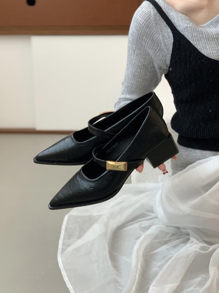Black Pointed Thick Heel Single Shoes Women's 2025 Spring New French Temperament Late Evening Wind Retro Mary Jane Small Leather Shoes