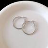 High-End Light Luxury Cold-Style Metal Hoop Earrings