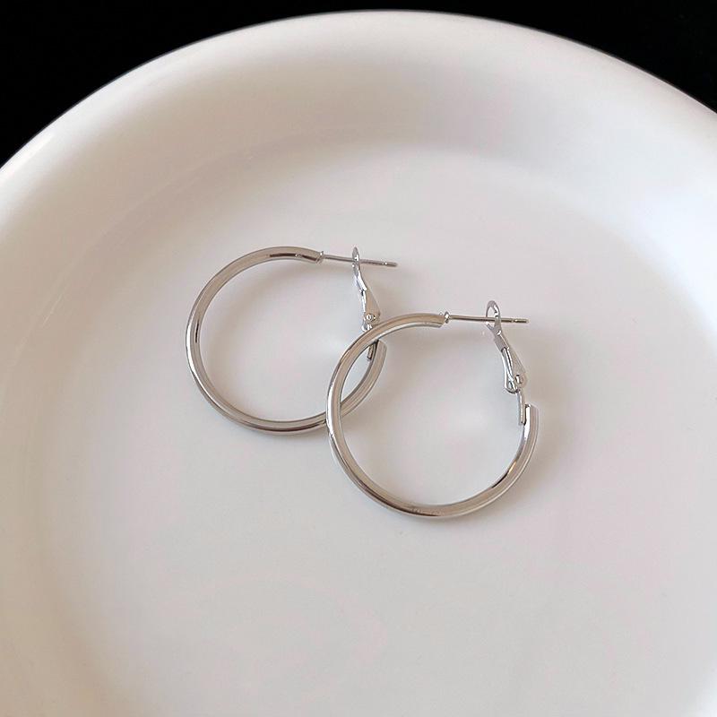 High-End Light Luxury Cold-Style Metal Hoop Earrings