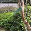 Green Recyclable Ground Stake Dowels Set 30cm Size Iron Nylon with 40cm Straps for Flexible Outdoor Use Long Lasting