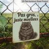 2D Flat - 1pc, Interesting Cat Sign, Vintage Aluminum Sign, Home Wall Art, Fluffy Cat Decoration, Not Fat, Just Fluffy, Humorous Plaque for Cat Lovers