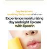 CNP Laboratory - Propolis Lipcerin Bundle Set
