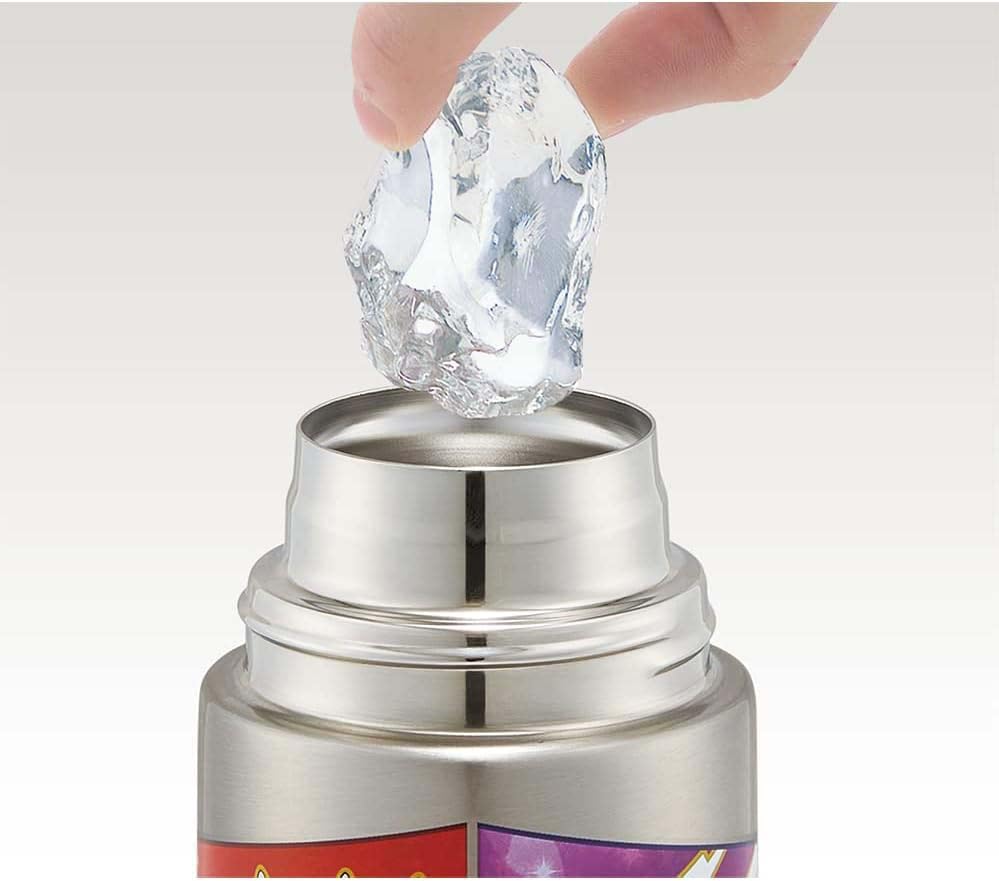 Skater Stainless Steel Water Direct Pokemon for Cute Sports Water Kids' Bottle, Drinking, 580ml, Design, 23N, Child-Friendly, Lightweight, Insulated,