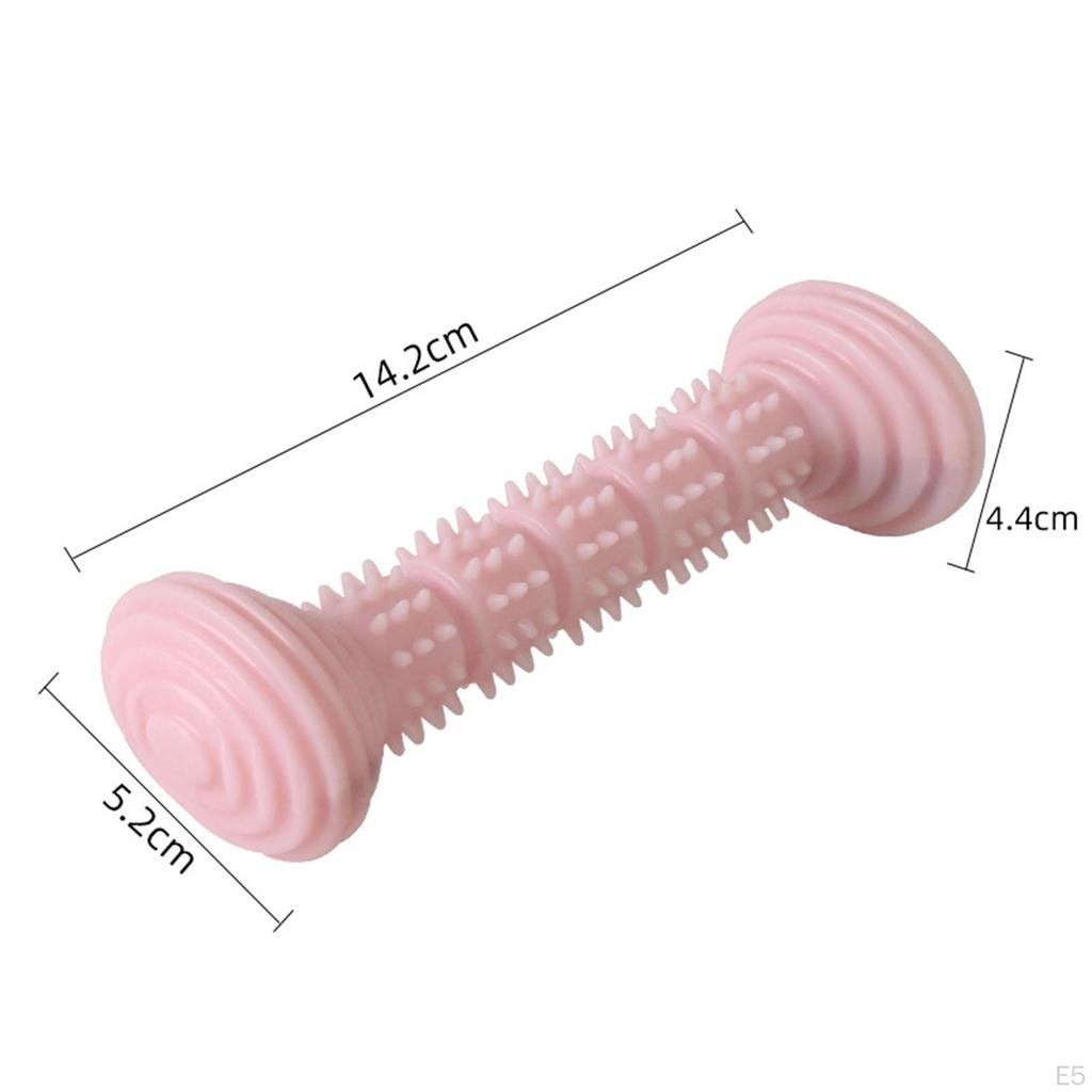 , Interactive Toys, Aggressive Puppy Chews, Molars, Pet Accessories