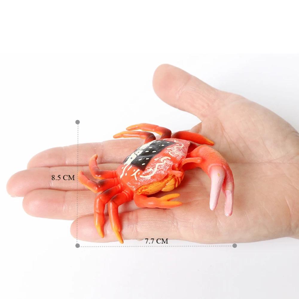 Realistic Prehistoric Sea Creatures Animal Figurines Baculite,Opabinia,Crab,Mantis Shrimp Educational Marine Animal Mode Figures