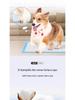 Adhesive Dog Pee Pads: Thick, Absorbent, Disposable, Deodorizing Diapers
