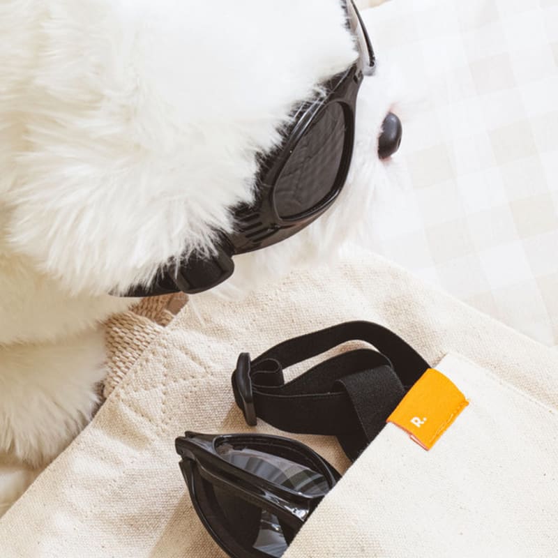 [Pet] Foldable Goggles