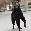 Large Dog Winter Clothes Warm Windproof Thicken Four Legged Puppy Clothes Greyhound Whibbit Dogs Accessories Supplies